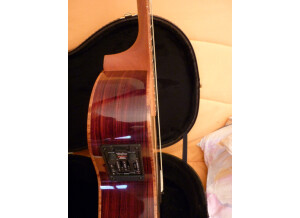 Taylor 814ce (42301)