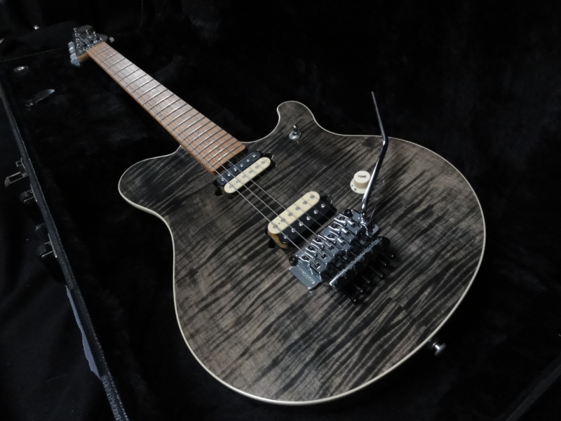 Music Man Eddie Van Halen Signature