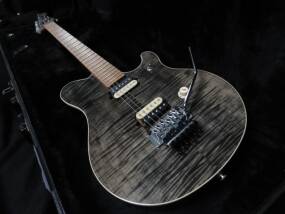 Music Man Eddie Van Halen Signature