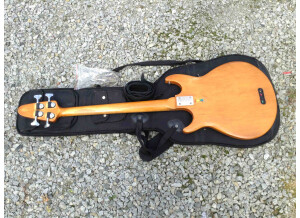 Gibson Grabber G3 (3701)