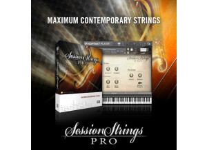 Native Instruments Session Strings Pro (31028)