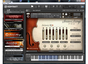 Native Instruments Session Strings Pro (67194)