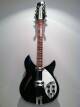 Rickenbacker 360/12
