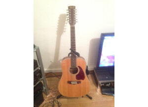 Ibanez PF10-12 - Natural