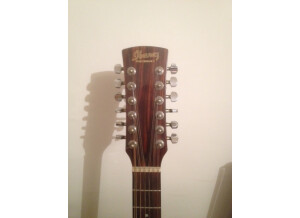 Ibanez PF10-12 - Natural