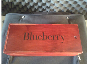 Blue Microphones Blueberry (52483)