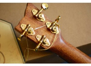 Kremona coco tenor ukulele (16035)