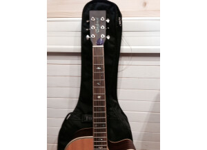Tanglewood TW115 ST CE (20584)