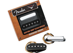 Fender custom shop texas special kit telecaster