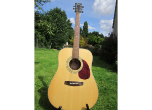 Cort Earth 70 - Natural Satin