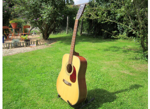 Cort Earth 70 - Natural Satin