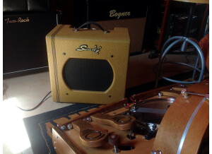 Swart Amplifier Co Space Tone Reverb Tweed (28741)