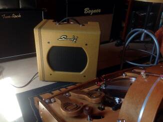 Swart Amplifier Co Space Tone Reverb Tweed