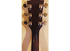 Gibson Les Paul Junior (11364)