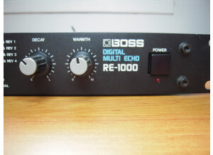 Boss RE-1000 Digital Multi Echo (93483)
