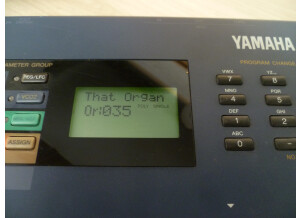 Yamaha AN1X (21742)