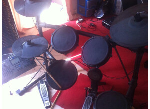 Alesis DM10 CUSTOM (28860)