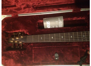 Ibanez SR5006E - Oil