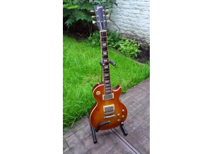Gibson Les Paul Standard Faded '50s Neck (87310)