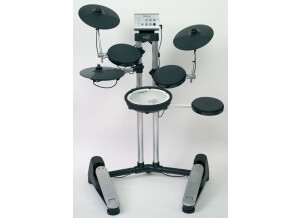 Roland HD-1 (30031)
