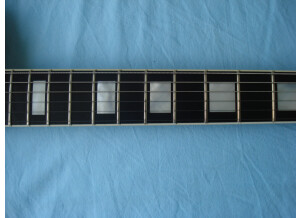 Gibson LES PAUL CUSTOM PLUS (75500)