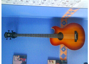 Washburn AB10 - Tobacco Sunburst