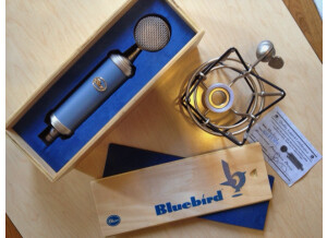 Blue Microphones Bluebird (1369)