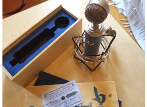Blue Microphones Bluebird (71193)