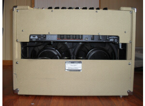 Peavey Classic 50/212 (Discontinued) (18837)