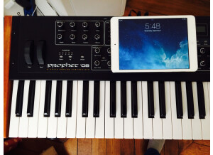 Dave Smith Instruments Prophet ?08 Pot Edition (86753)