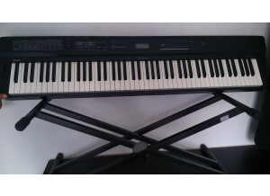 Casio PX-3 (30591)