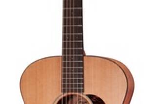 Furch G20-CM