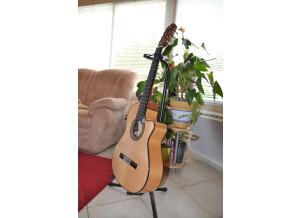 Alhambra Guitars 7 Fy CW E2