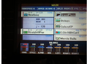 Yamaha PSR-S900 (24099)