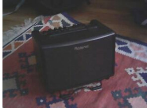 Roland AC-33-RW (98079)