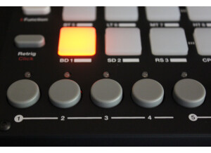 Analog Rytm 129