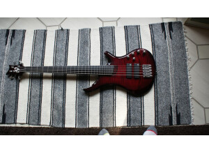 Vigier Passion IV 5 Strings - Deep Burgundy Phenowood
