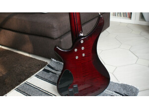 Vigier Passion IV 5 Strings - Deep Burgundy Phenowood