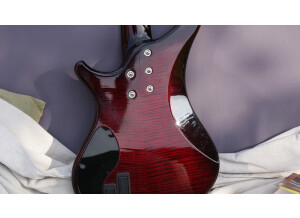 Vigier Passion IV 5 Strings - Deep Burgundy Phenowood