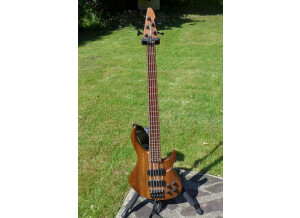 Peavey Grind Bass 5 - NTB (5685)