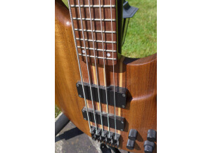Peavey Grind Bass 5 - NTB (9824)