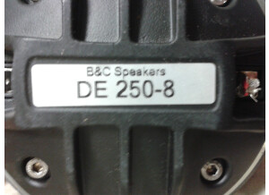 B&C Speakers DE250 (37090)