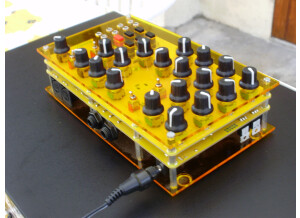 Mutable Instruments Anushri (96121)
