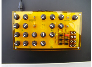 Mutable Instruments Anushri (52108)