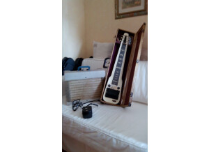Supro Lapsteel (18599)