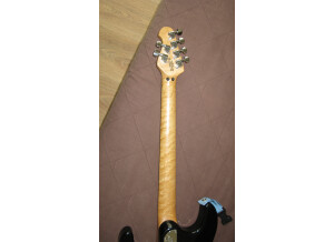 Music Man Steve Morse - Morse Blue Burst