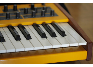 Dave Smith Instruments Mopho Keyboard (38096)