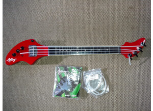 Fender Ashbory Bass (3349)