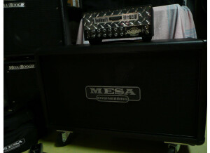 Mesa Boogie Mini Rectifier Twenty Five Head (52995)