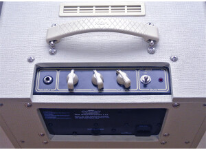 Vox AC4TV (78124)